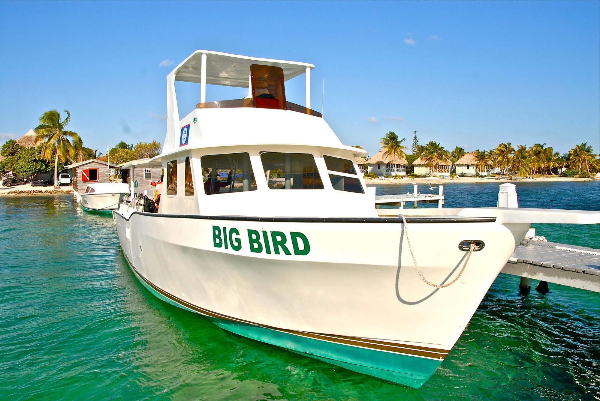Blackbird Caye Resort Turneffe Atoll Exterior photo